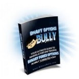 Binary Options Bully